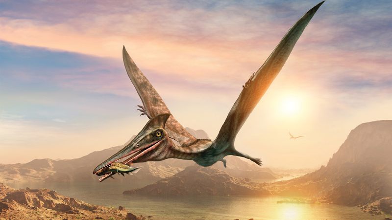 What Pterosaur Fur Means For Understanding Dinosaur Evolution