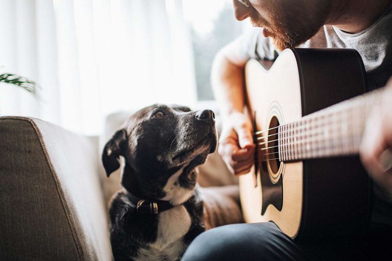 Musical Emotional Responses