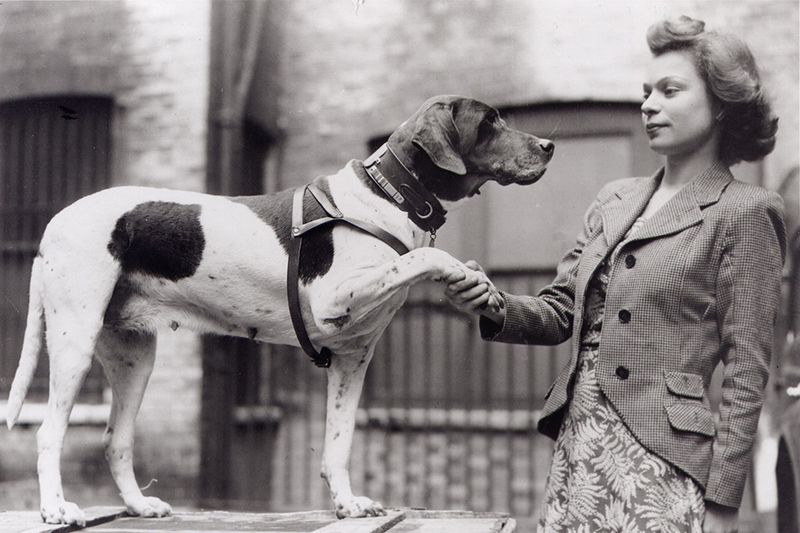 Judy: Prisoner Of War And Survival Expert