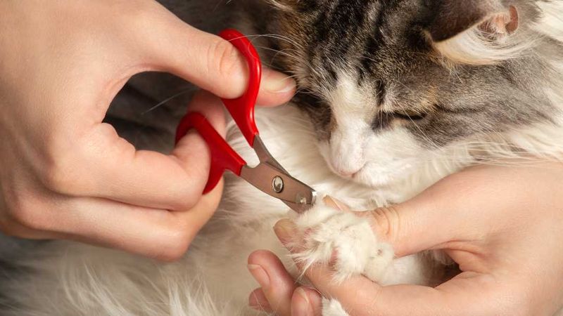 Trim Their Nails