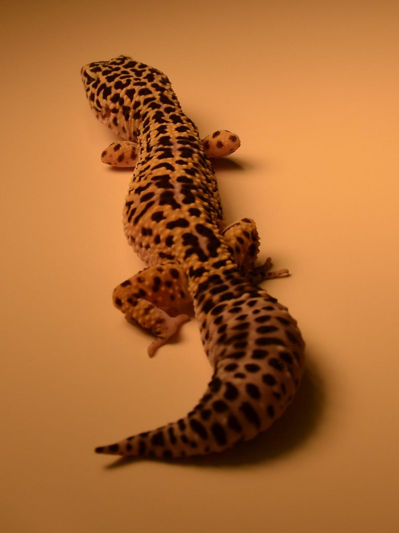 Tail Communication