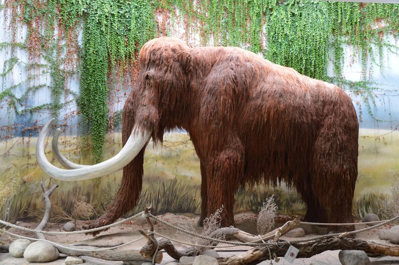 Technology Transfer To Conservation