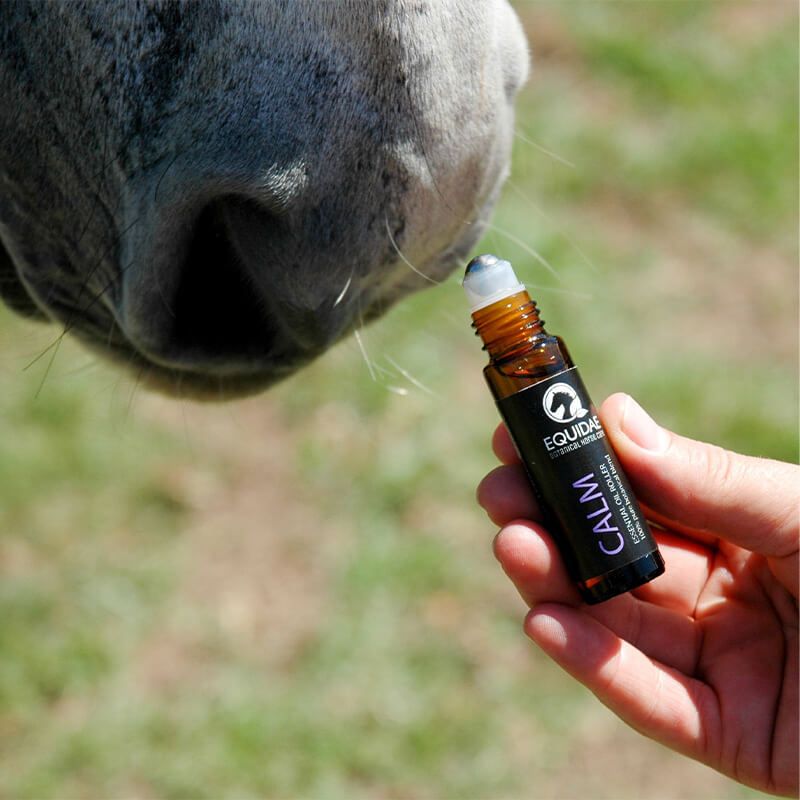 Aromatherapy For Nervous Horses