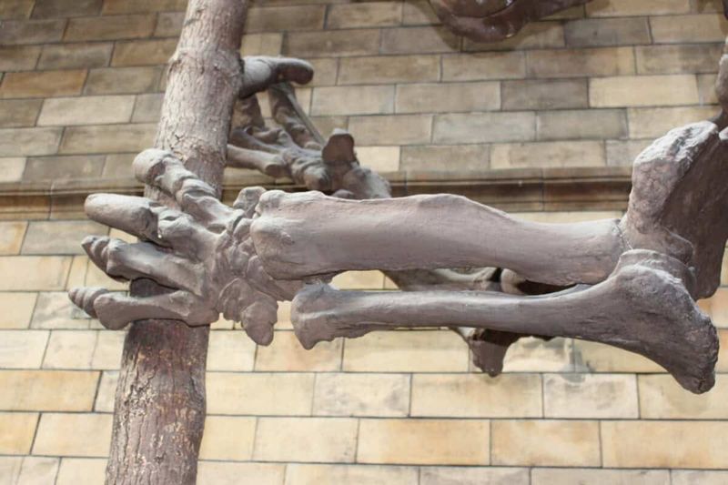 Discovery Date And Location