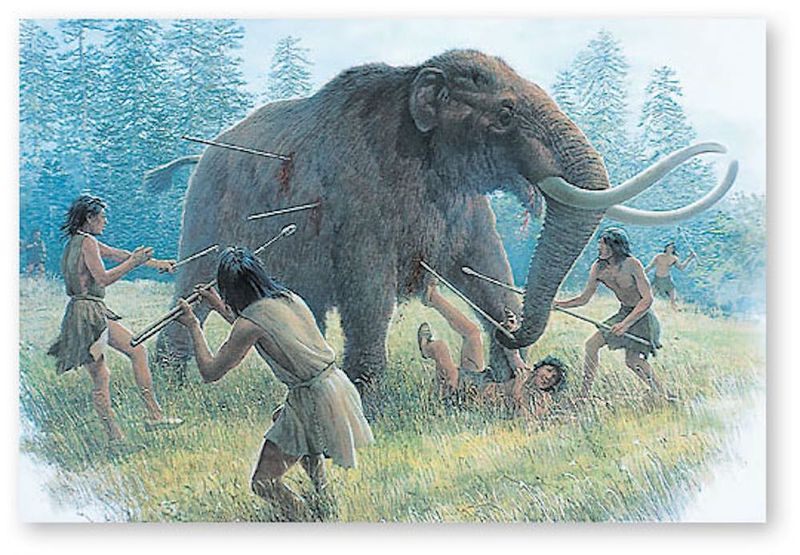 Unexpected Neighbors: The First Human Encounters