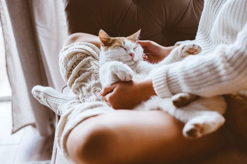 Lap Lounger