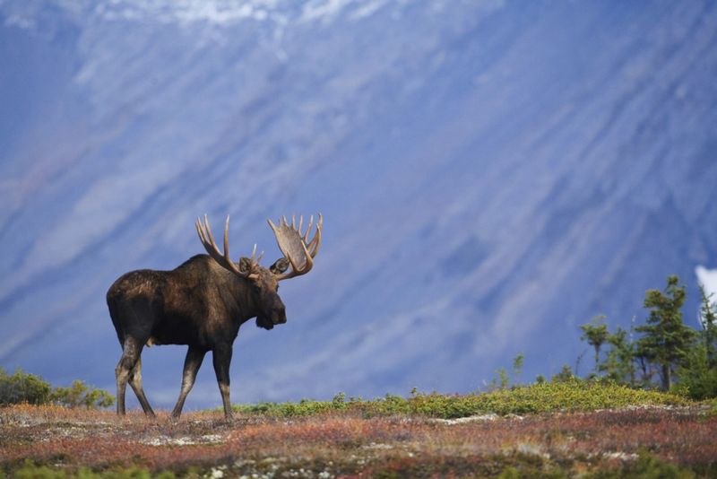 Chugach State Park