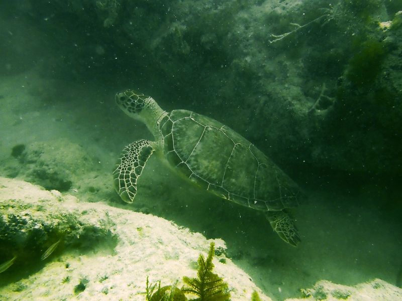 Biscayne National Park