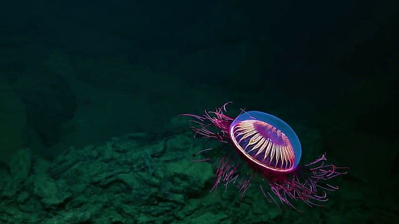 Undersea Disco Ball Effect