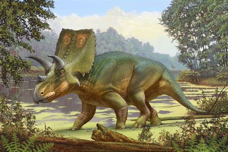 Coahuilaceratops