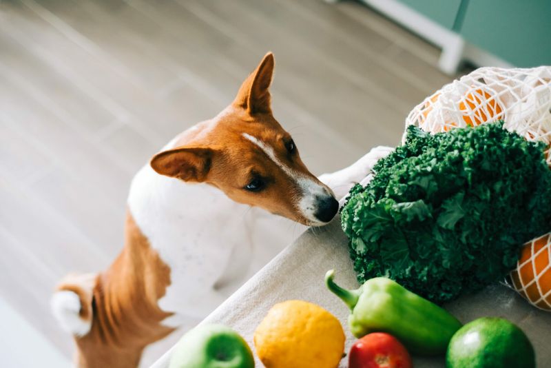 Veggie Juice Vitality