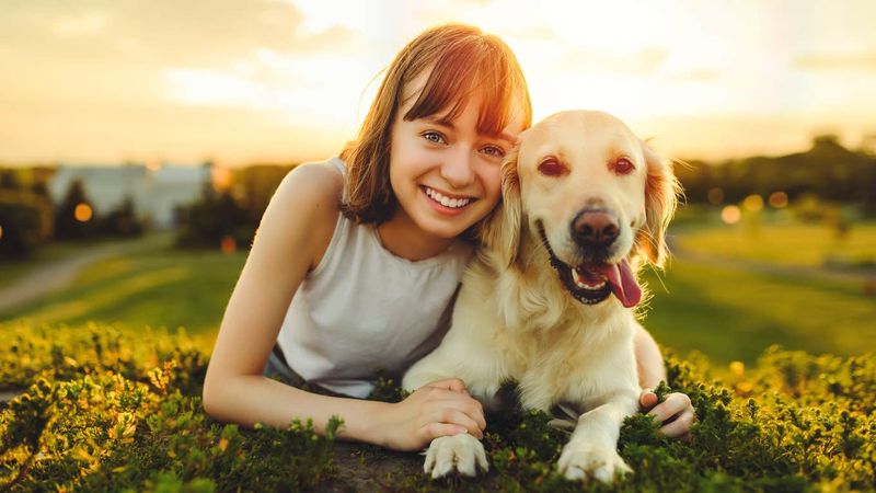 Labrador Retrievers