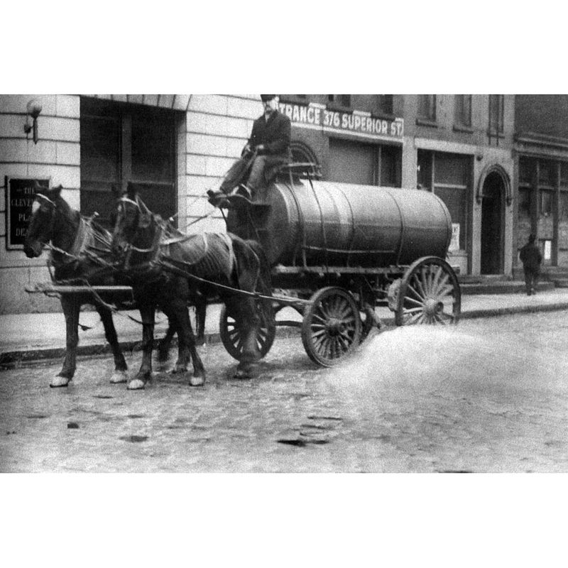 Street Cleaner Horse