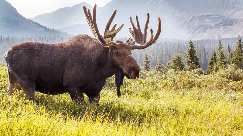 Rocky Mountain National Park, Colorado