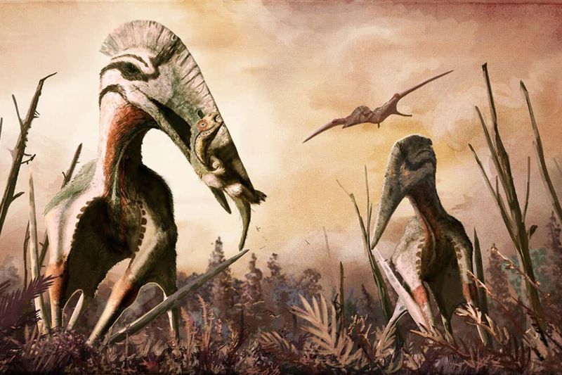 Winged Terrors Of Ancient Skies