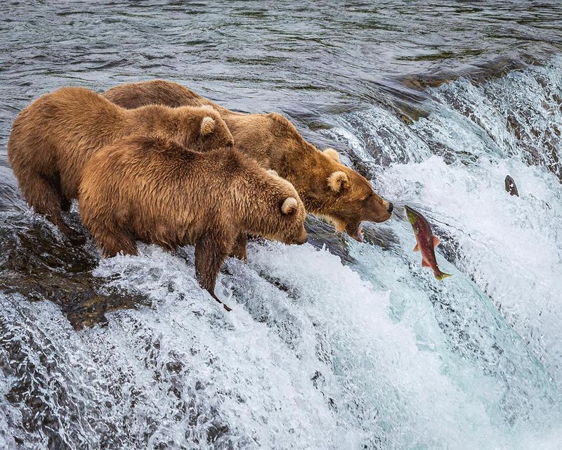 Katmai National Park, Alaska