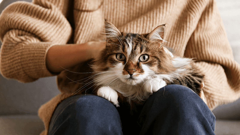 Choosing Your Lap Over Warm Spots