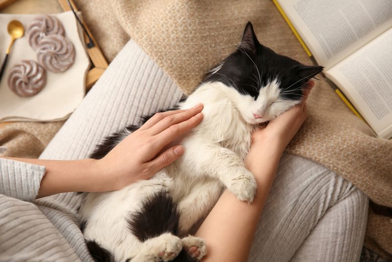 Purring While Near You