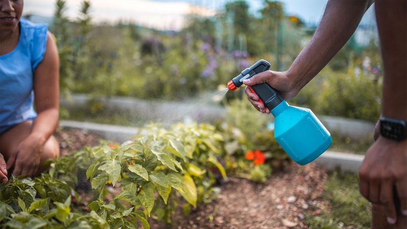 Try Commercial Fly Repellents