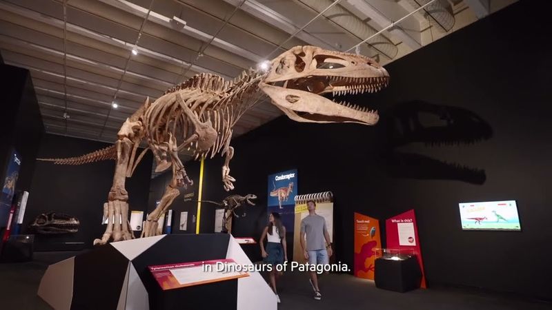 Predator Interactions Documented
