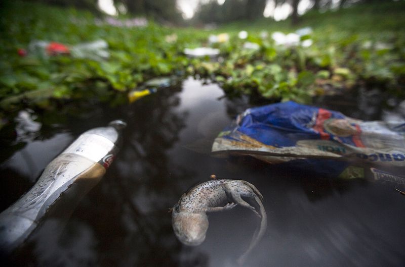 Water Pollution
