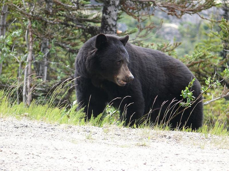 Idaho – Sawtooth Wilderness