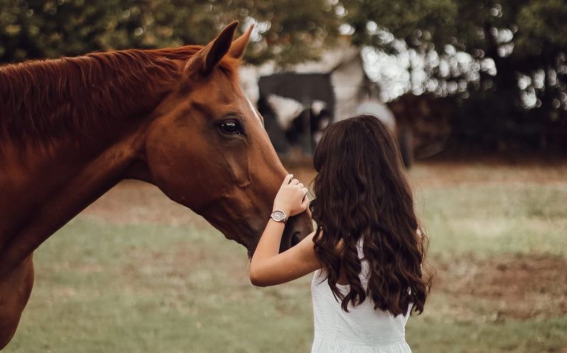 Ability To Form Deep Bonds With Humans