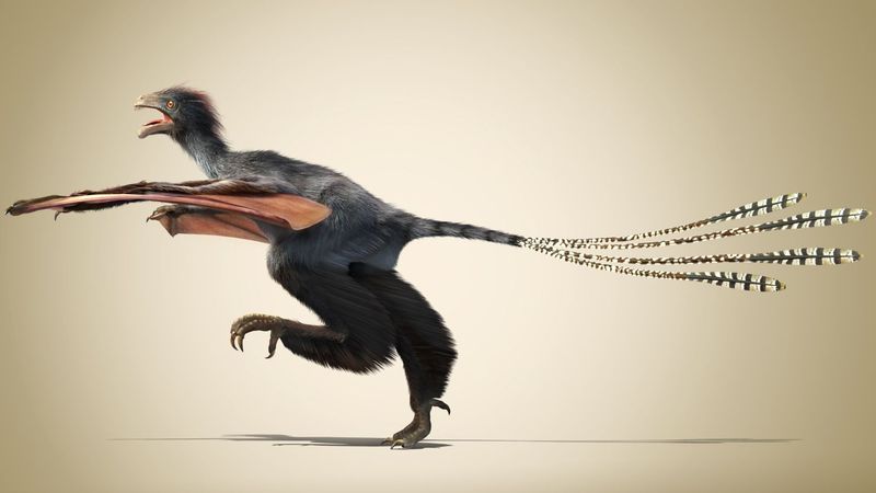 Yi Qi: The Bizarre Bat-Wing Experiment