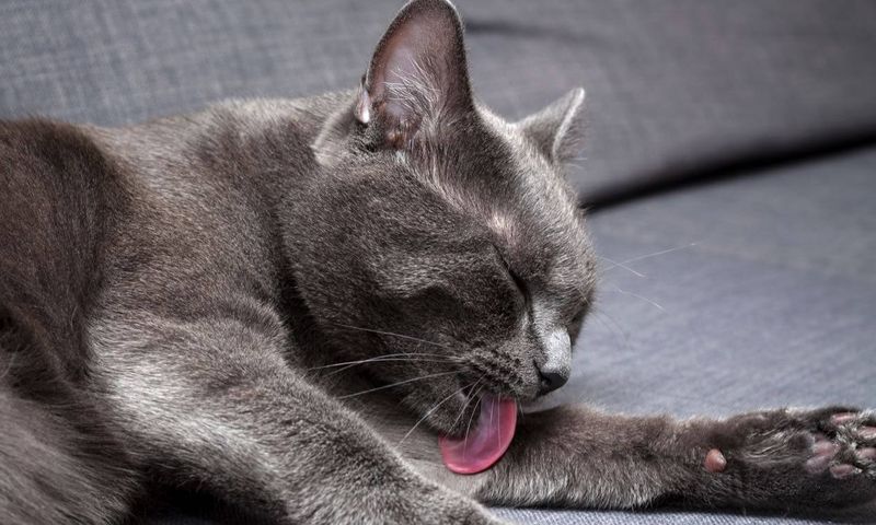 Changes In Grooming Habits