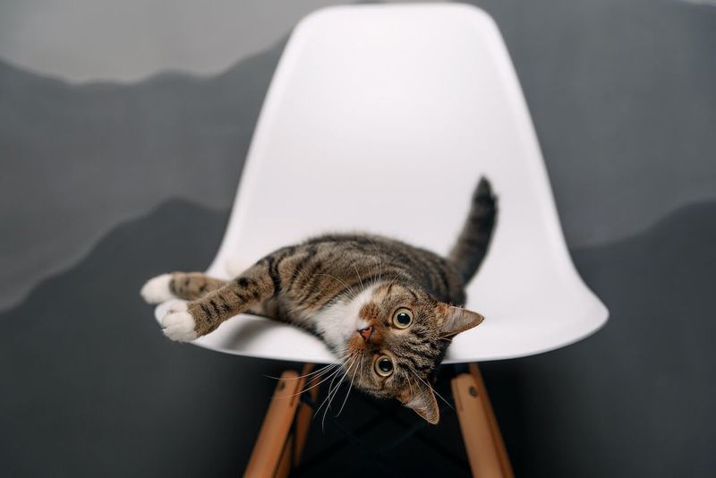 Uncomfortable Furniture