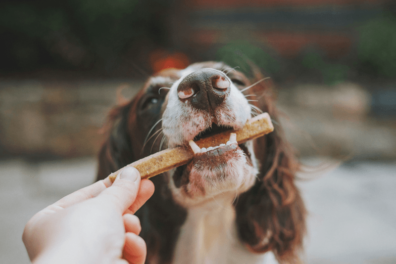 Treat Overload Troubles