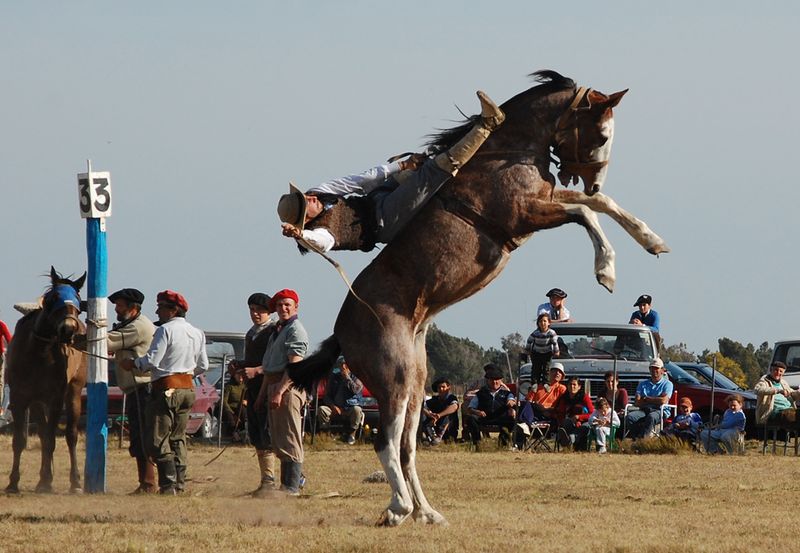 Jineteada Gaucha