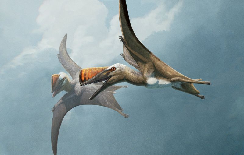 Evolution Of Fur In Early Reptiles And Its Transition To Pterosaurs