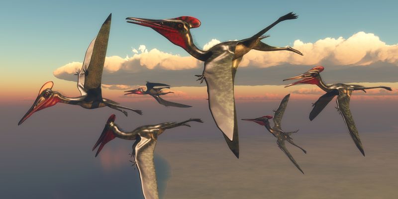 Fur Vs. Feathers: The Evolutionary Significance In Other Prehistoric Creatures