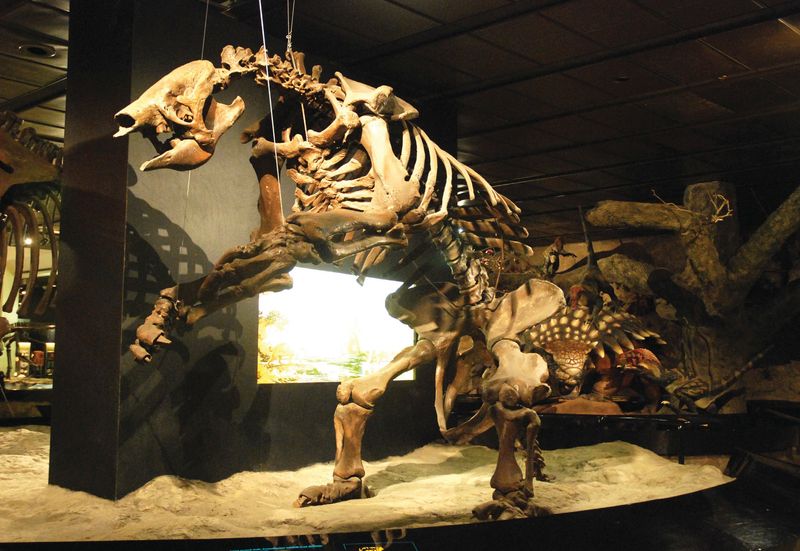 Why This Find Is So Rare