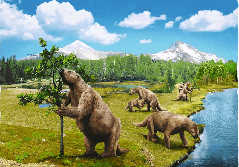 The Prehistoric Giants: Who Were The Giant Sloths?