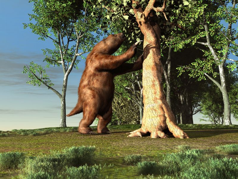Human Interaction With The Mylodon