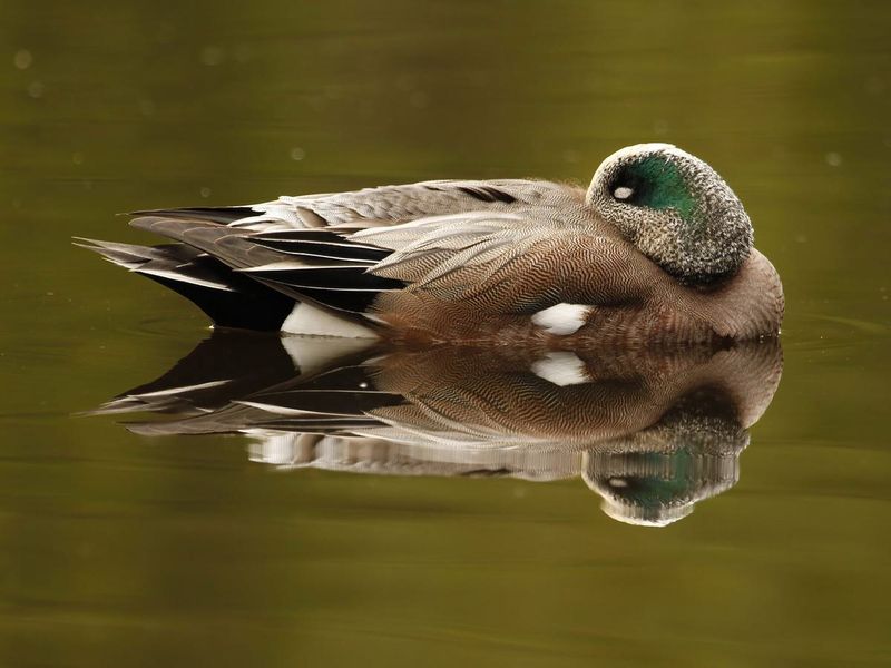 Floating On Water