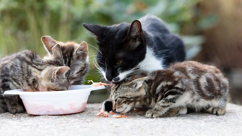 Unexpected Dietary Reactions
