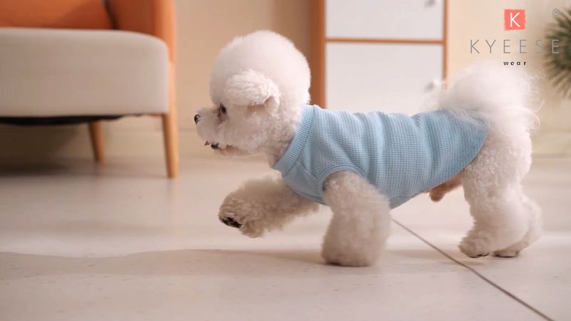 Cotton T-shirt Prevents Further Damage