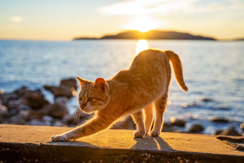 Fresh Air And Sunshine