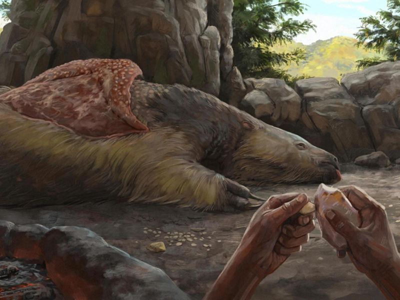 Dinner Time: Prehistoric Meal Sharing