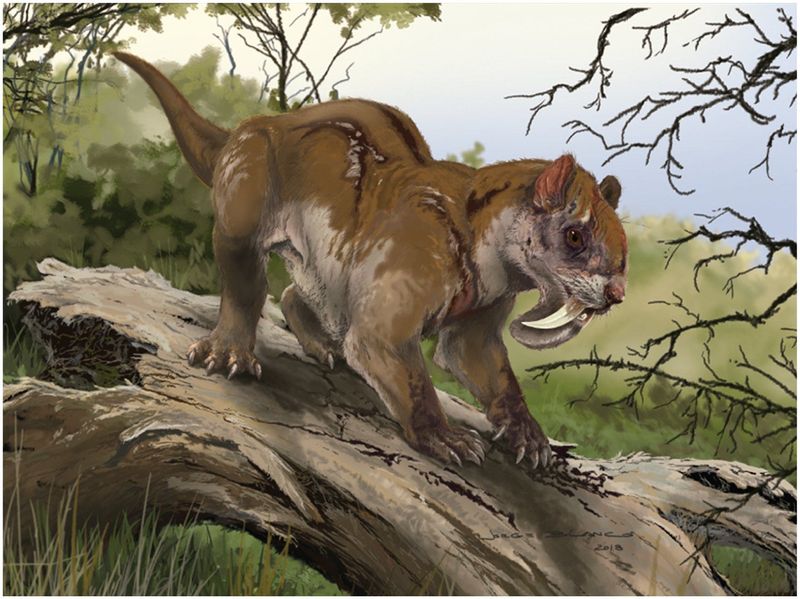 Preferred Prehistoric Prey