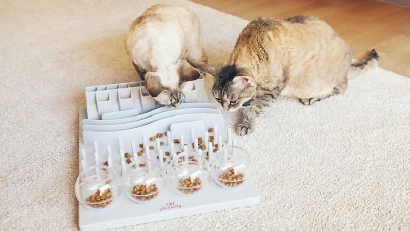Underestimating Enrichment Needs