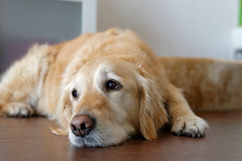 Neglecting Exercise