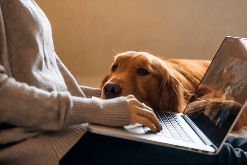 Inability To Commit Time