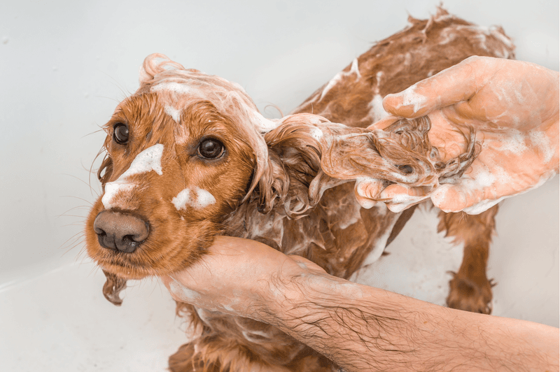 Ignoring Basic Hygiene
