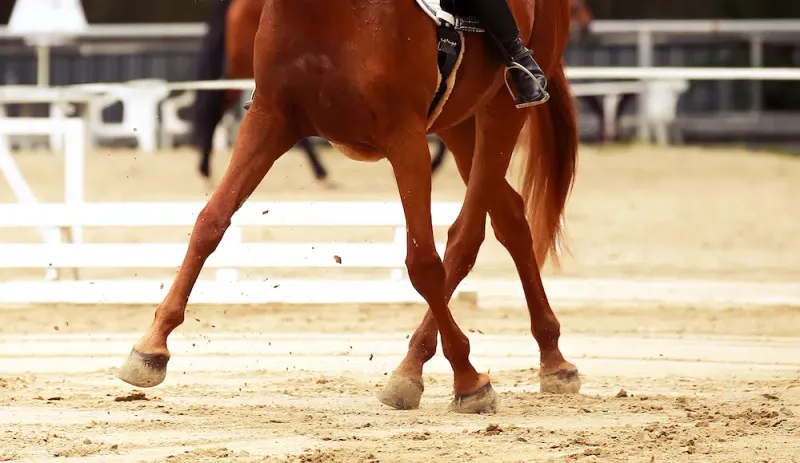 Introduce Lateral Work To Improve Flexion