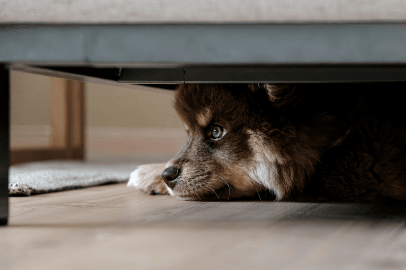 Hiding Or Seeking Unusual Spaces