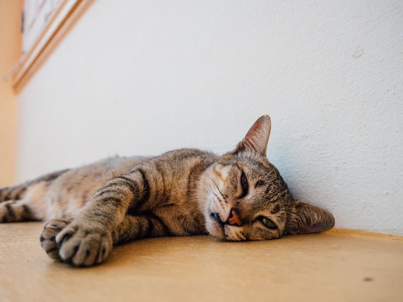 Lethargy